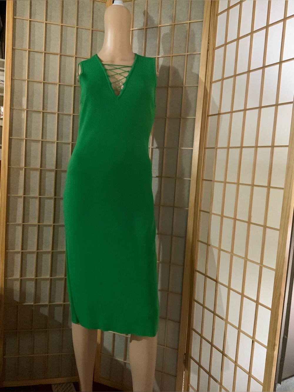 New York & co Sleeveless Green Lace V Neck Midi Dress